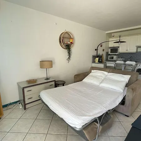 Appt 4 Couchages Port Camargue Pc060-1020